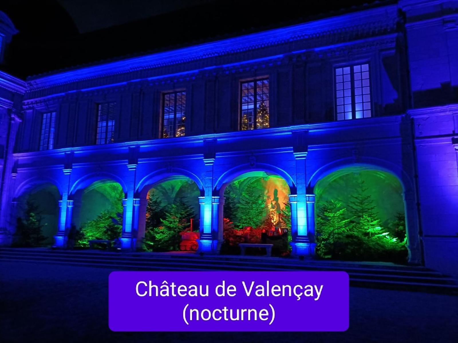 Villa Esperanza Chambre De Plain-Pied, Independante, Proche Zoo De Beauval Et Chateaux De La Loire Valençay Zewnętrze zdjęcie